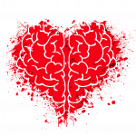 Gehirn Herz
